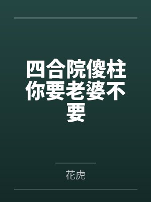 四合院给许大茂带了帽子的小说封面