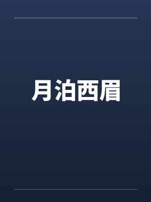 月泊西眉代表作品解析封面