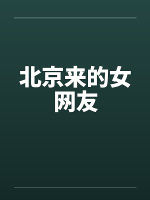 北京来的女网友封面